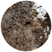 Ice, wet trail, wet grass, small gravel on the ground or pavement going down hill Ice, wet trail, wet grass, small gravel on the ground or pavement going down hill